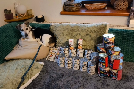 Psí senioři v nouzi, z.s.